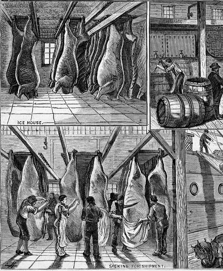 "Harper's Weekly" July 1877 images/HW1877P520427-Copy.jpg